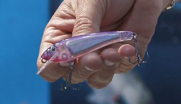 VIDEO: Halco Hamma 085 at AFTA